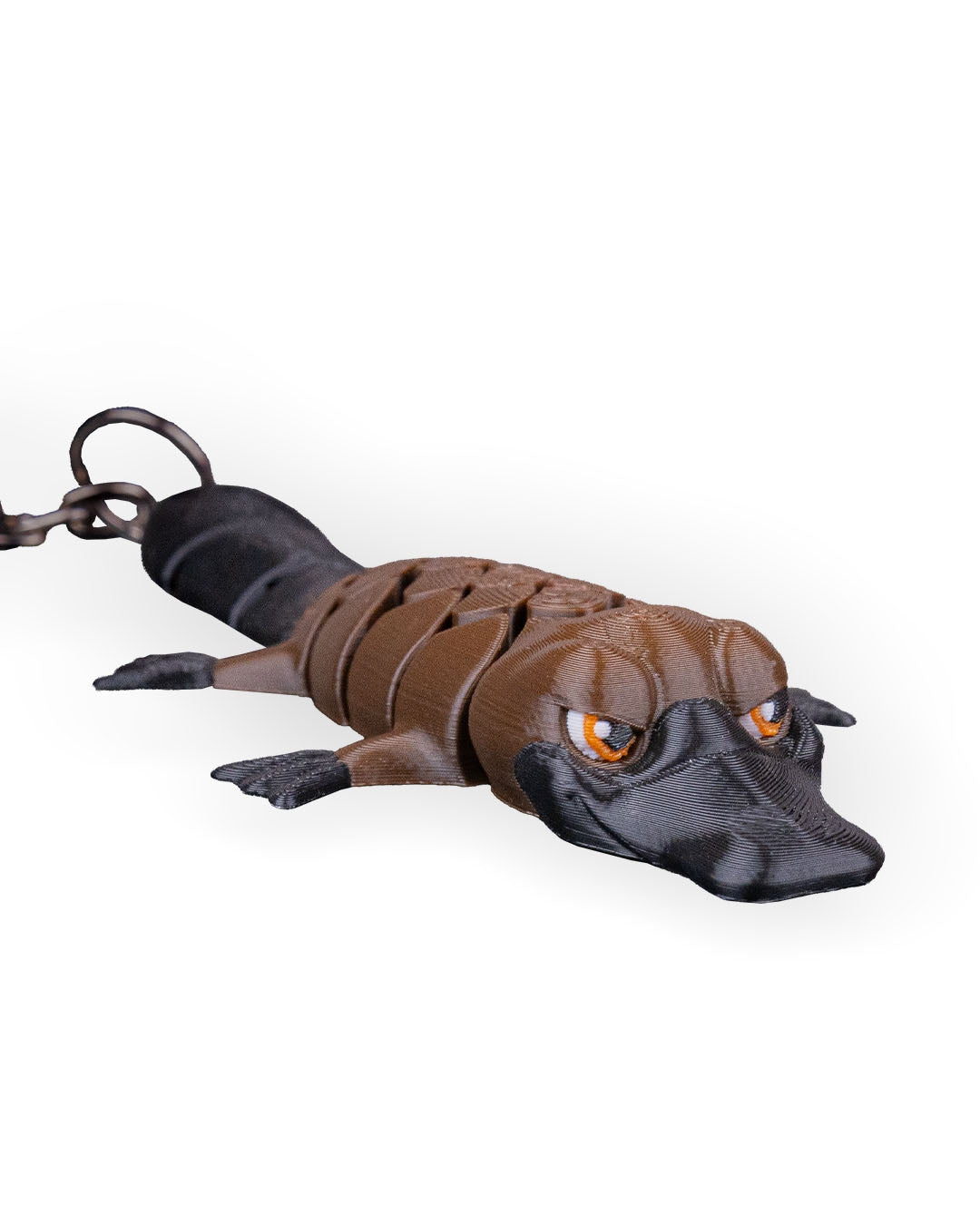 Pierre The Platypus 12