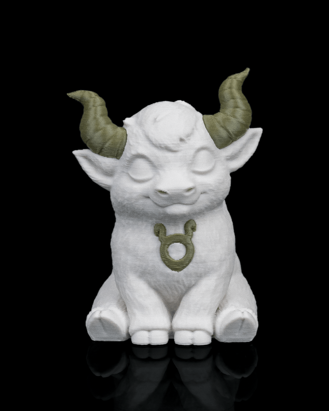 Taurus Charm 6