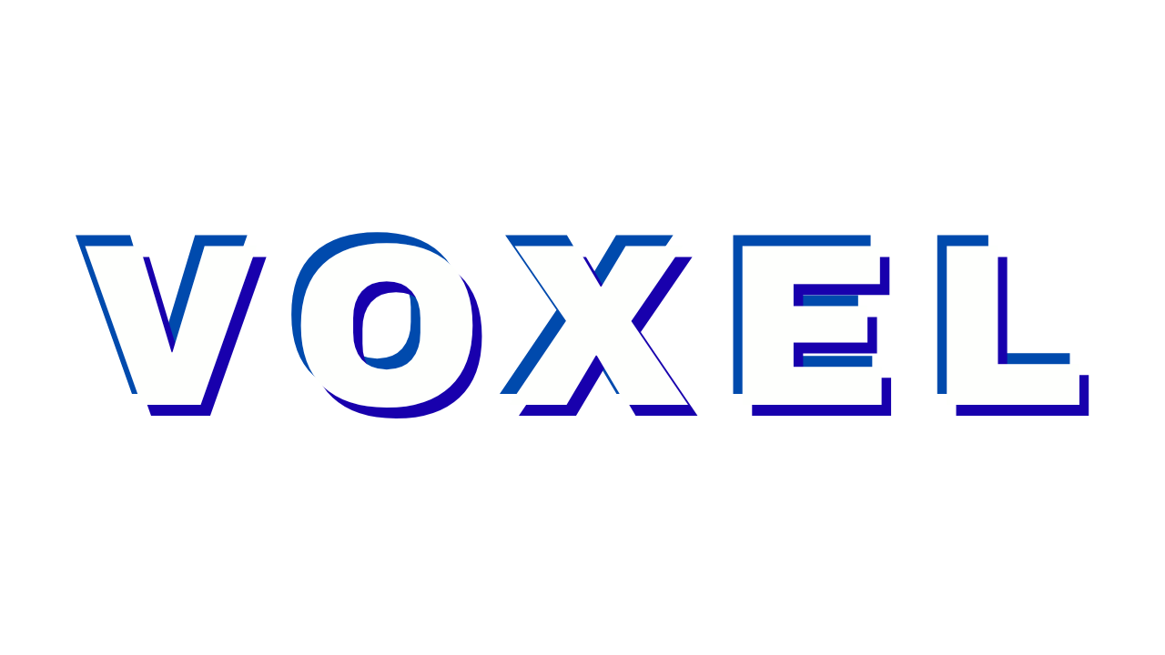 Voxel