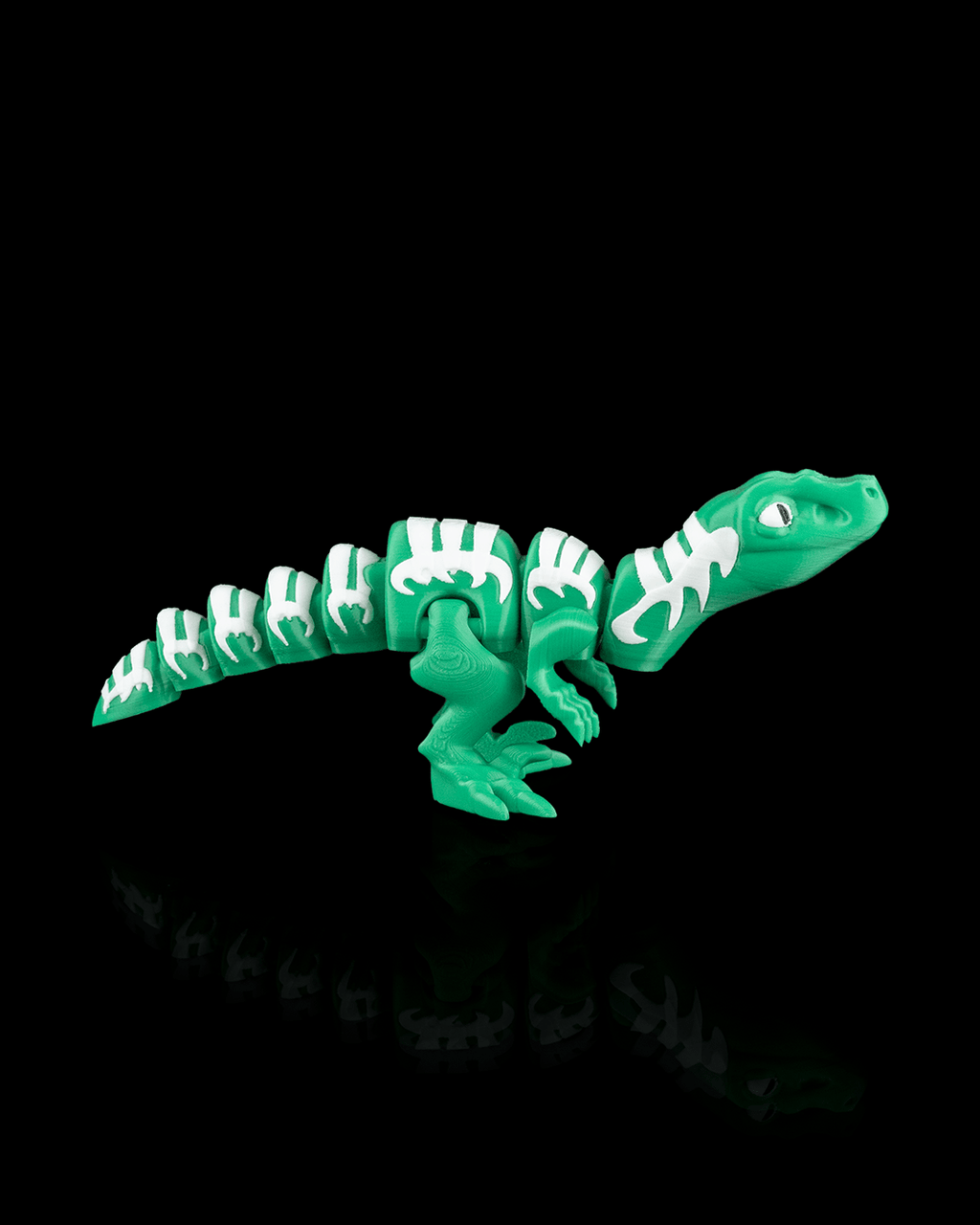 Velociraptor Flexi Dinosaur 3
