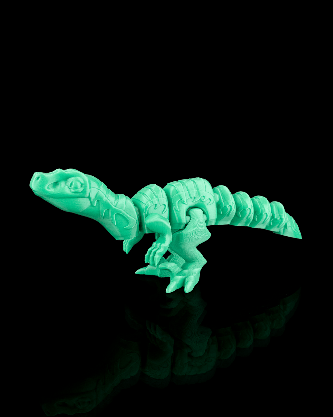 Velociraptor Flexi Dinosaur 5